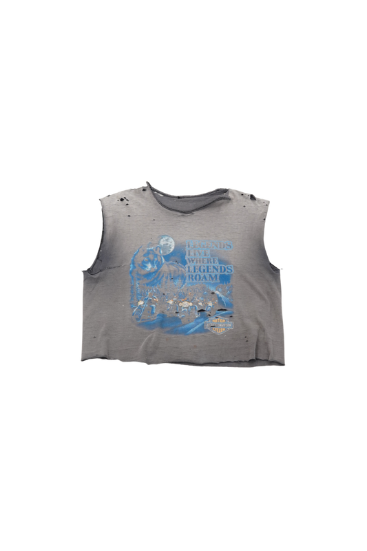 Thrashed Harley Davidson Muscle Crop Top